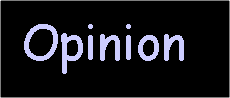 Text Box:  Opinion
